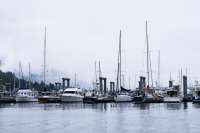 Photo of boats in harbor on cloudy day