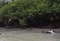 Photo of debris caught in the banks along the Mendenhall River