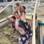Photo of small children raising their arms in the pool