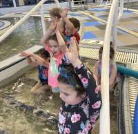 Photo of small children raising their arms in the pool