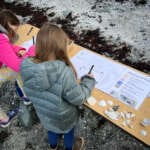 Photo of children making notes at science station on the beach
