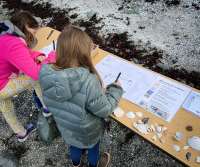 Photo of children making notes at science station on the beach