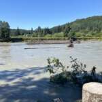 High water levels along the Mendenhall River on a deceptively sunny day