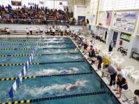 Competing swimmers approach the end of the pool as spectators crowding the bleachers cheer them on.