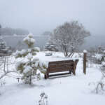 A snow covered bench in a wintry landscape