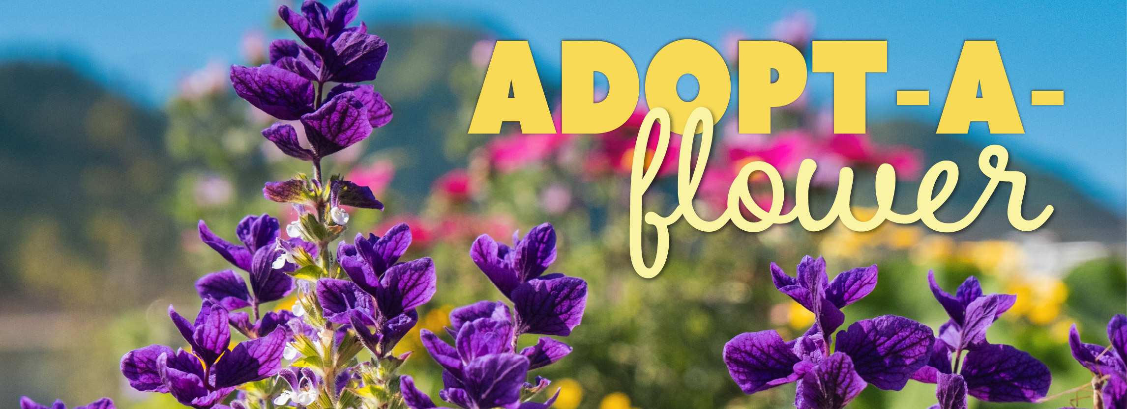 Adopt a flower poster