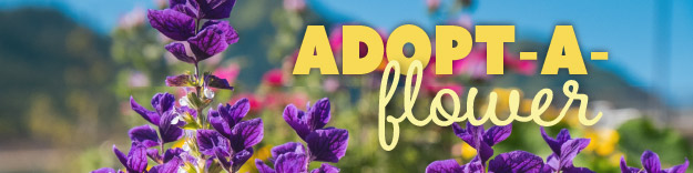 Graphic with a photo of purple flowers against a blue sky. Words state “Adopt -A-Flower