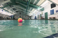 Balls float in the Augustus G. Brown shallow pool. 