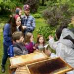 A family looks at a bug together while at Jensen-Olson Arboretum.