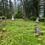 Graves at Douglas Cemetery.
