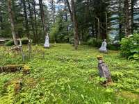 Graves at Douglas Cemetery.