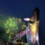FIREWORKS WHALE PARK 43 Fireworks behind Juneau's whale statue.