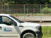 A Parks & Recreation maintenance truck parked outside of the outdoor Floyd Dryden tennis and pickleball courts. Two staff inspect the court.