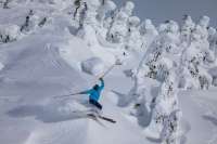 A person skis down a snowy mountain.