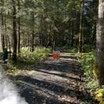 A paved trail in the middle of a forest. A closed sign is on the trail.