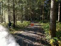 A paved trail in the middle of a forest. A closed sign is on the trail.