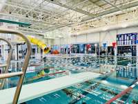 A low diving board over a swimming pool with lap lanes.